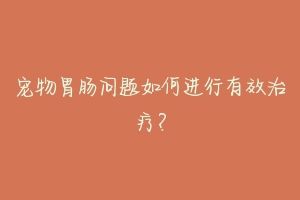 宠物胃肠问题如何进行有效治疗?