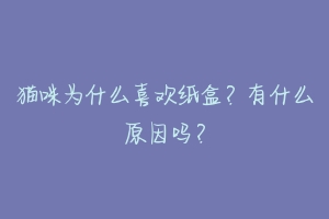猫咪为什么喜欢纸盒?有什么原因吗?