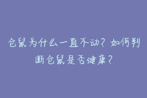 仓鼠为什么一直不动?如何判断仓鼠是否健康?