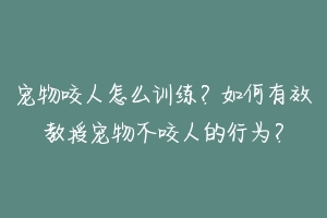 宠物咬人怎么训练?如何有效教授宠物不咬人的行为?