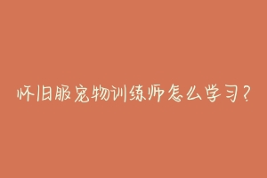 怀旧服宠物训练师怎么学习?