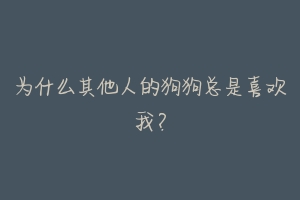 为什么其他人的狗狗总是喜欢我?-动物百科