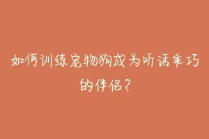 如何训练宠物狗成为听话乖巧的伴侣?