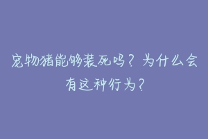 宠物猪能够装死吗?为什么会有这种行为?-动物百科