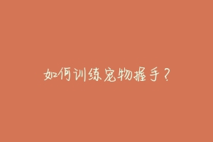 如何训练宠物握手?