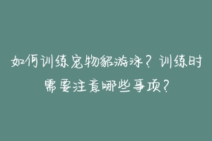 如何训练宠物貂游泳?训练时需要注意哪些事项?