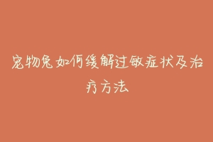 宠物兔如何缓解过敏症状及治疗方法-动物百科
