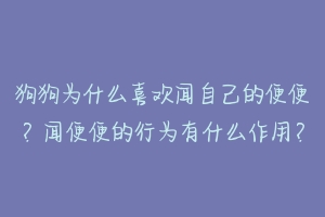 狗狗为什么喜欢闻自己的便便?闻便便的行为有什么作用?-动物百科
