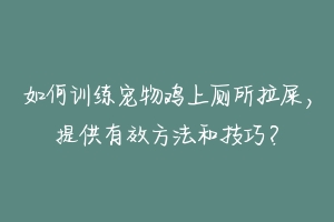 如何训练宠物鸡上厕所拉屎,提供有效方法和技巧?