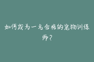如何成为一名合格的宠物训练师？-动物百科