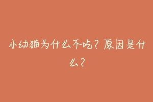 小幼猫为什么不吃?原因是什么?