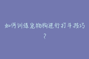 如何训练宠物狗进行打斗技巧?