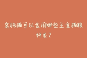 宠物猫可以食用哪些主食猫粮种类?-动物百科