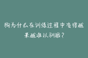 狗为什么在训练过程中变得越来越难以驯服？