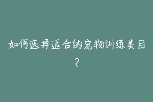 如何选择适合的宠物训练类目?