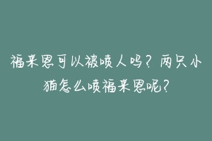 福来恩可以被喷人吗?两只小猫怎么喷福来恩呢?