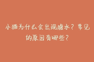 小猫为什么会出现腹水?常见的原因有哪些?