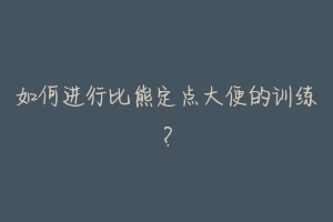 如何进行比熊定点大便的训练?