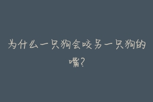 为什么一只狗会咬另一只狗的嘴?