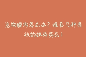 宠物腹泻怎么办？推荐几种有效的拉稀药品！-动物百科