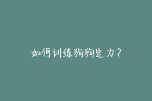 如何训练狗狗定力?