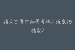 矮人世界中如何有效训练宠物技能?