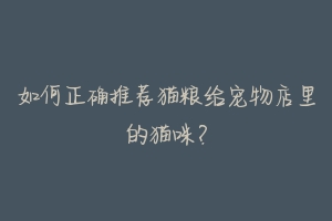 如何正确推荐猫粮给宠物店里的猫咪?