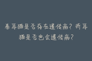 卷耳猫是否存在遗传病?折耳猫是否也会遗传病?