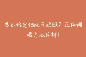 怎么给宠物哄干鸡腿?正确饲喂方法详解!