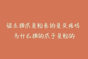银点猫爪是粉色的是失格吗 为什么猫的爪子是粉的