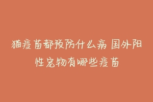猫疫苗都预防什么病 国外阳性宠物有哪些疫苗-动物百科