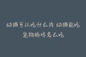 幼猫可以吃什么肉 幼猫能吃宠物肠吗怎么吃-动物百科