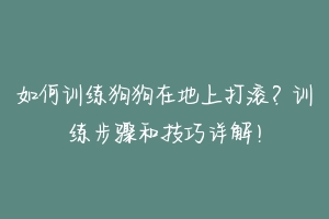 如何训练狗狗在地上打滚?训练步骤和技巧详解!
