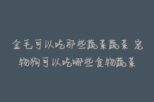 金毛可以吃那些蔬菜蔬菜 宠物狗可以吃哪些食物蔬菜-动物百科