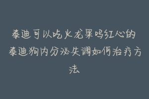 泰迪可以吃火龙果吗红心的 泰迪狗内分泌失调如何治疗方法-动物百科