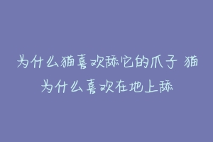 为什么猫喜欢舔它的爪子 猫为什么喜欢在地上舔