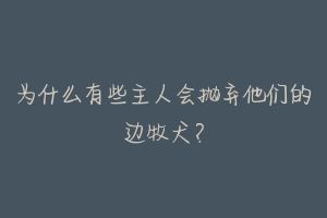 为什么有些主人会抛弃他们的边牧犬?