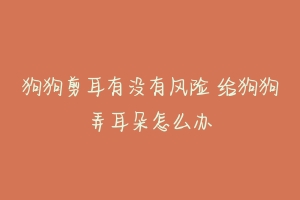 狗狗剪耳有没有风险 给狗狗弄耳朵怎么办-动物百科
