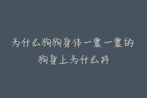 为什么狗狗身体一震一震的 狗身上为什么抖-动物百科