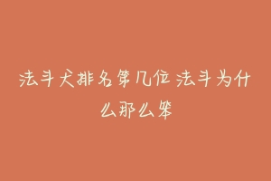 法斗犬排名第几位 法斗为什么那么笨-动物百科