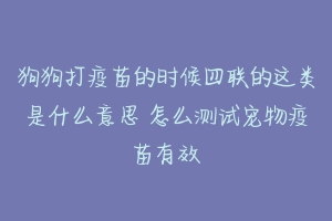 狗狗打疫苗的时候四联的这类是什么意思 怎么测试宠物疫苗有效-动物百科