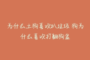 为什么土狗喜欢扒垃圾 狗为什么喜欢打翻狗盆