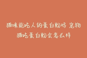猫咪能吃人的蛋白粉吗 宠物猫吃蛋白粉会怎么样-动物百科
