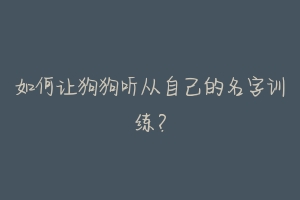 如何让狗狗听从自己的名字训练?