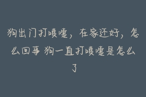 狗出门打喷嚏,在家还好,怎么回事 狗一直打喷嚏是怎么了