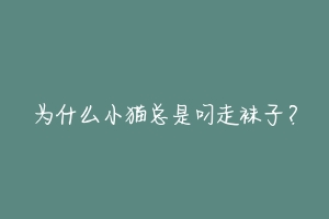 为什么小猫总是叼走袜子?-动物百科