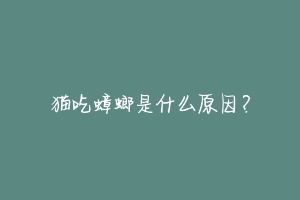 猫吃蟑螂是什么原因？-动物百科