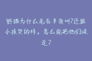 野猫为什么老在半夜叫?还跟小孩哭的样。怎么能把他们哄走?-动物百科