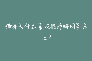 猫咪为什么喜欢把蟑螂叼到床上?-动物百科