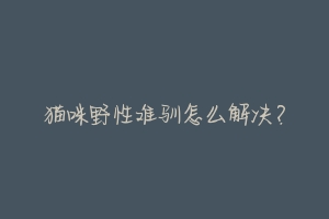 猫咪野性难驯怎么解决？-动物百科